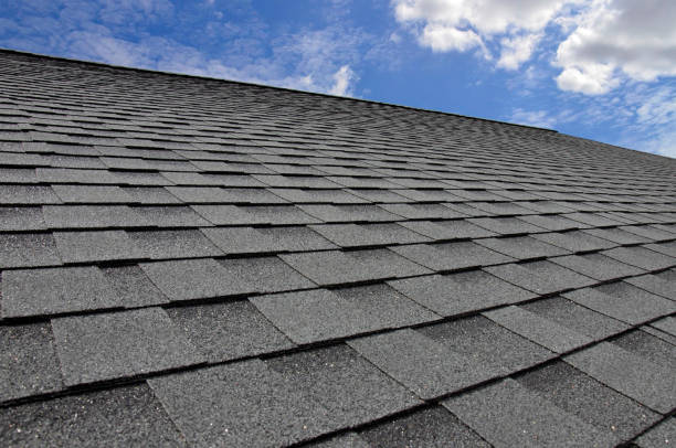 Best Roof Ventilation Installation  in Encinal, TX